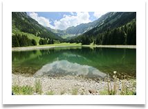 up in the alps-Martin Ellison